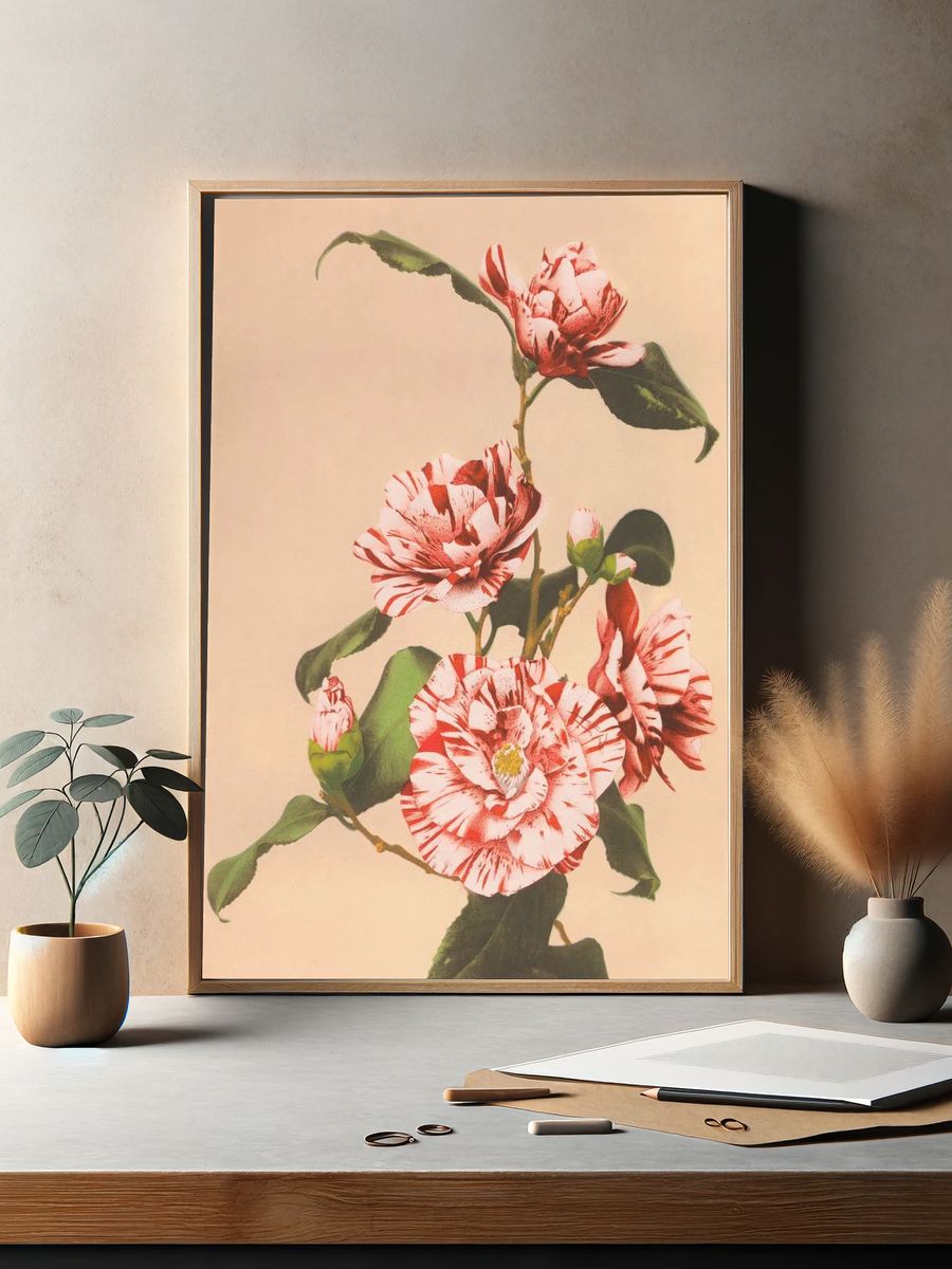 Beautiful photomechanical prints Striped Camellias. — room view 2