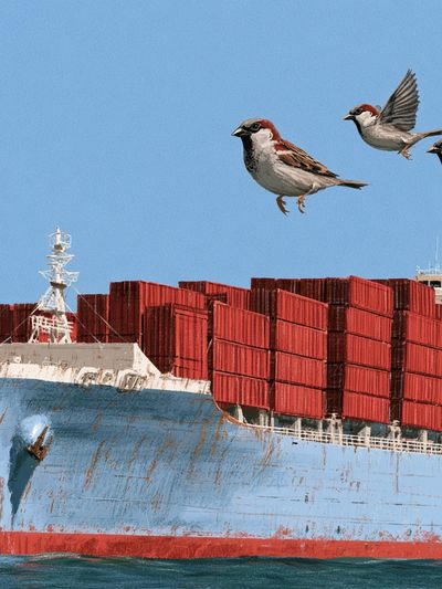 Cargo Ship and Sparrows Photography Poster.