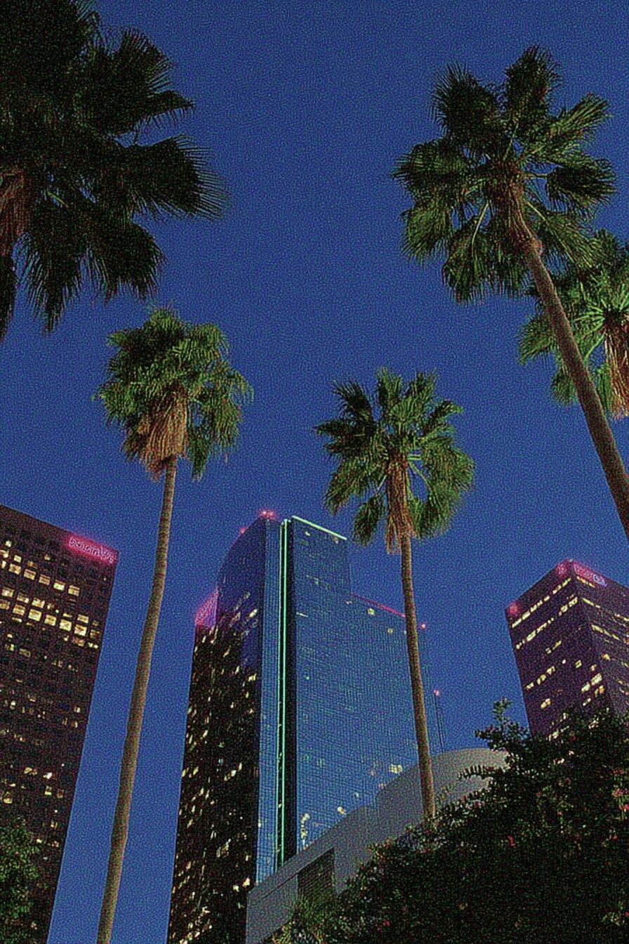 Palm Tree Skyline Photography Poster. poster detail