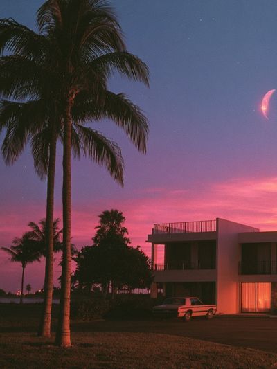 Palm Sunset House Photography Poster.