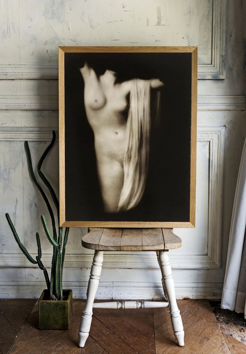 Female nude photography, Modern Torso. — room view 1