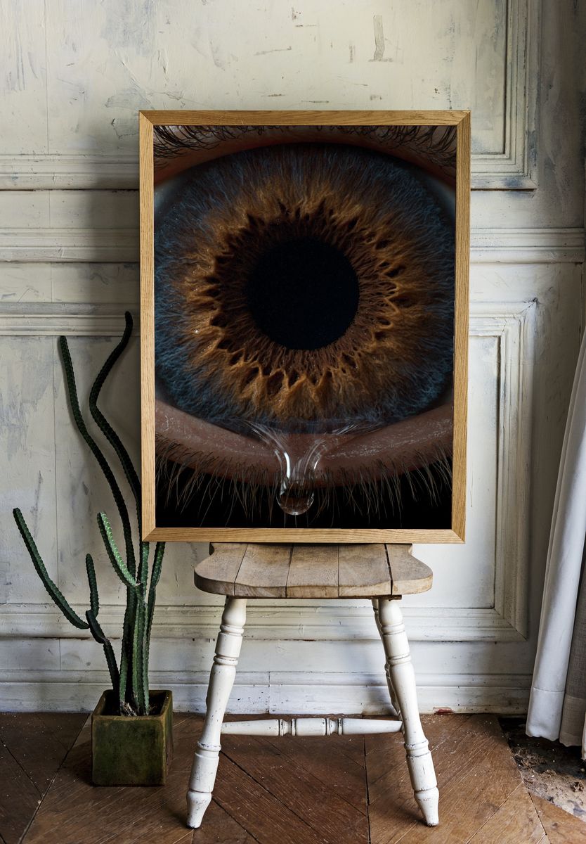 Human Eye Macro Photography Poster. room preview