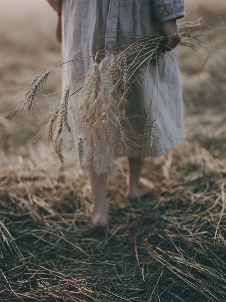 Harvest Field Photography Print. poster detail