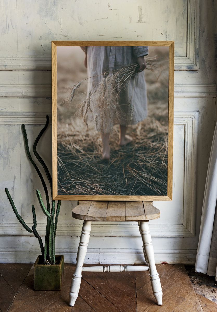 Harvest Field Photography Print. room preview