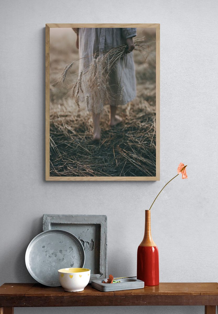 Harvest Field Photography Print. — room view 3