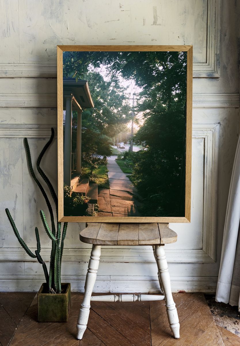 Sunlit Garden Path Photography Poster. room preview