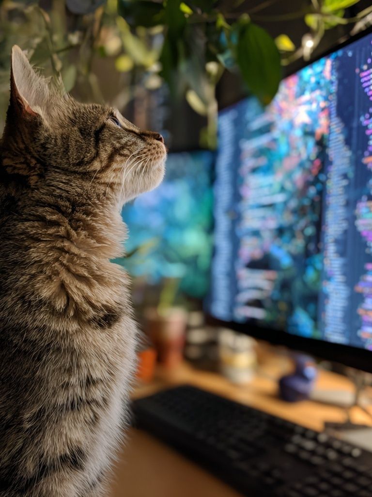 Tabby Cat at Computer Photography Poster. poster detail