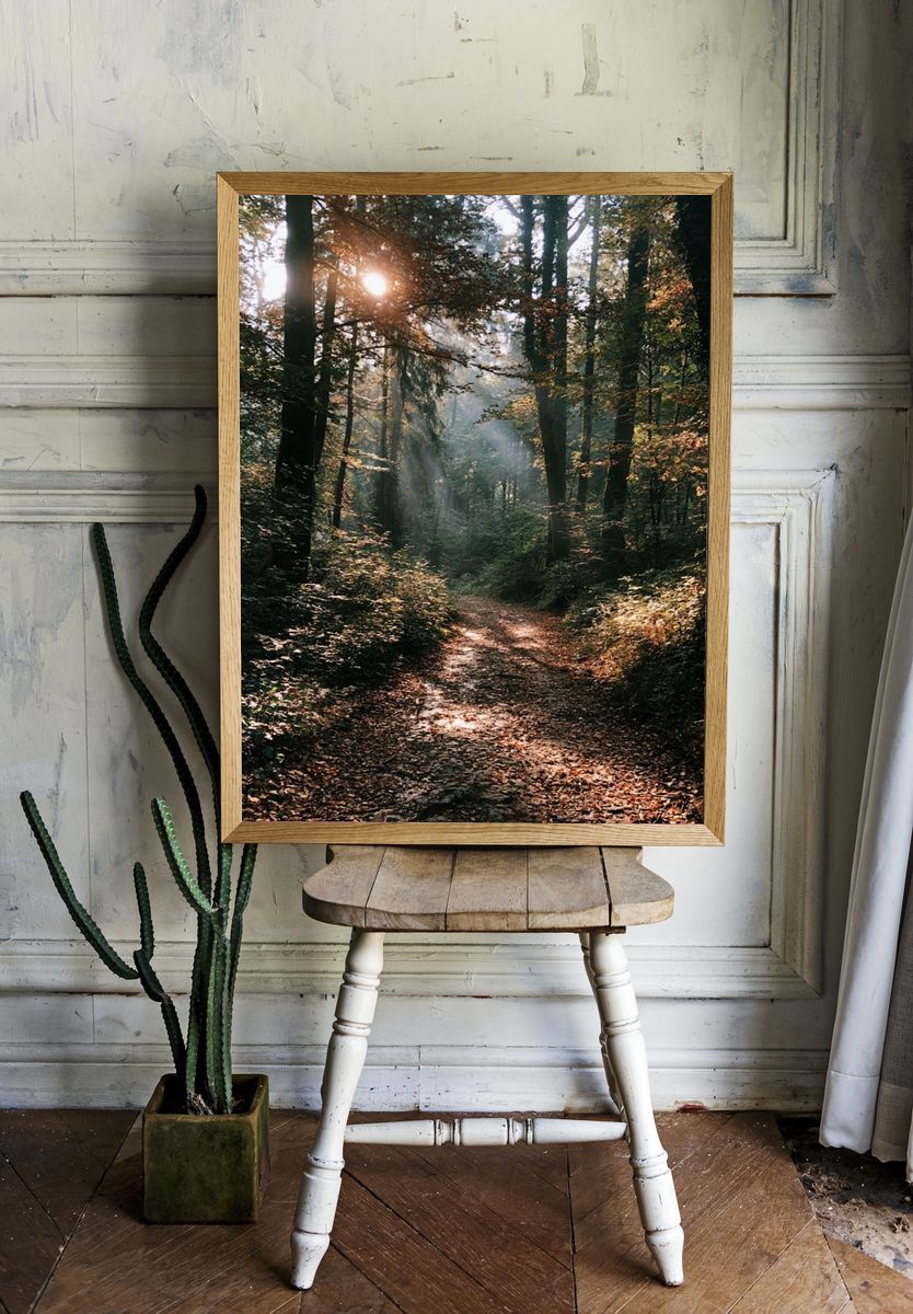Sunlit Forest Path Photography Poster. room preview