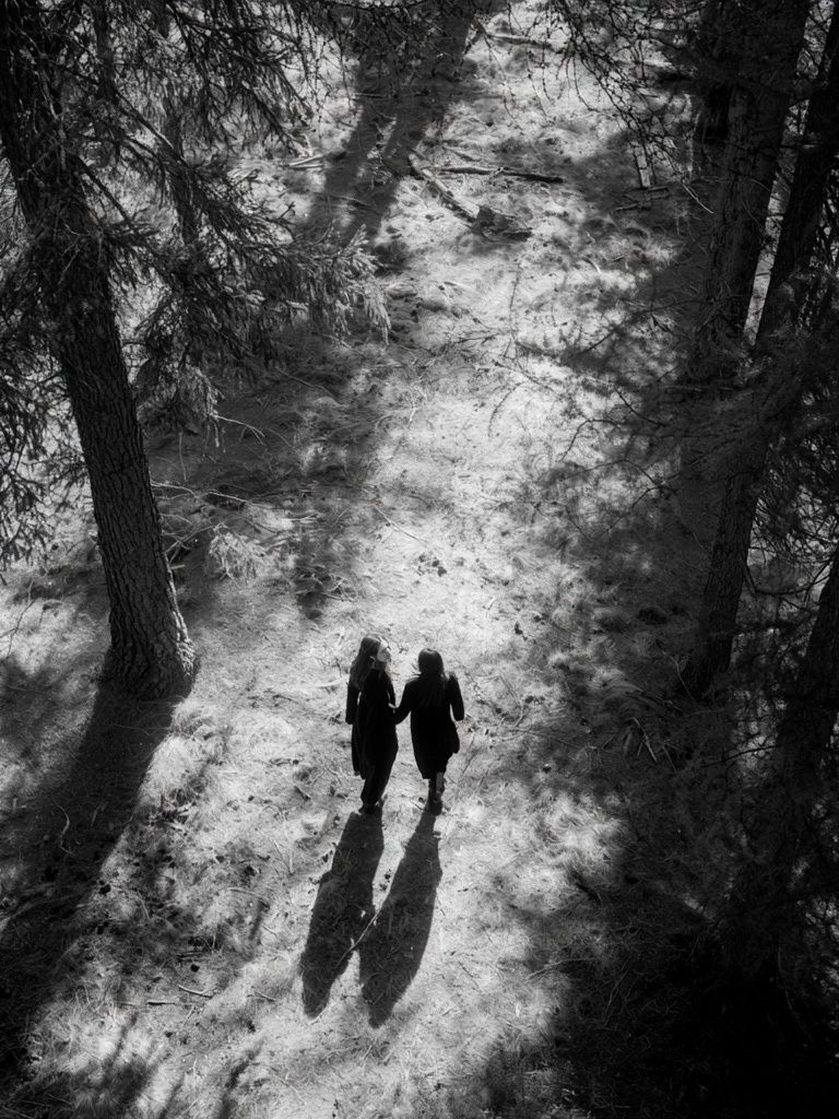 Forest Walk Black-White Poster. poster — photography art