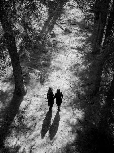 Forest Walk Black-White Poster. poster