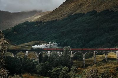 Train Glenfinnan Viaduct, Scotland.
