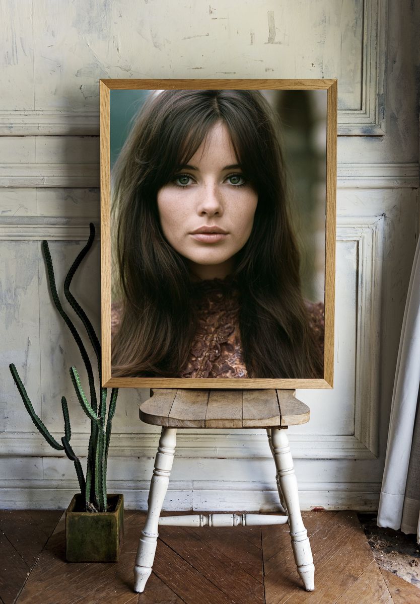 Portrait Photography Poster. — room view 1