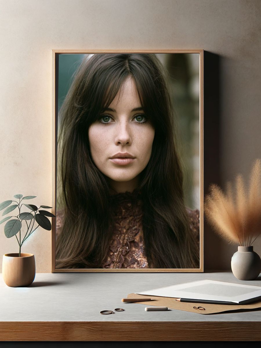 Portrait Photography Poster. — room view 2