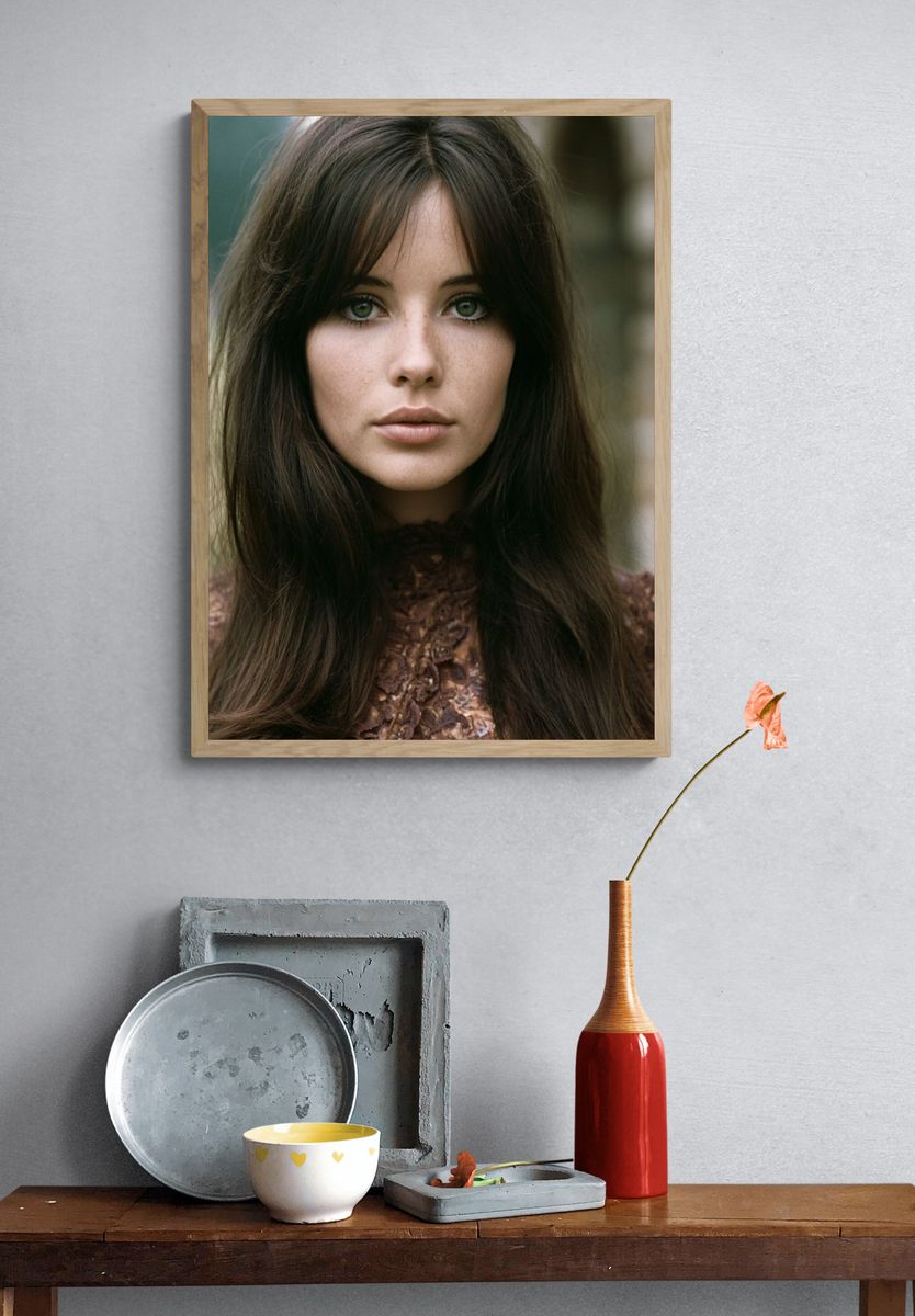 Portrait Photography Poster. — room view 3