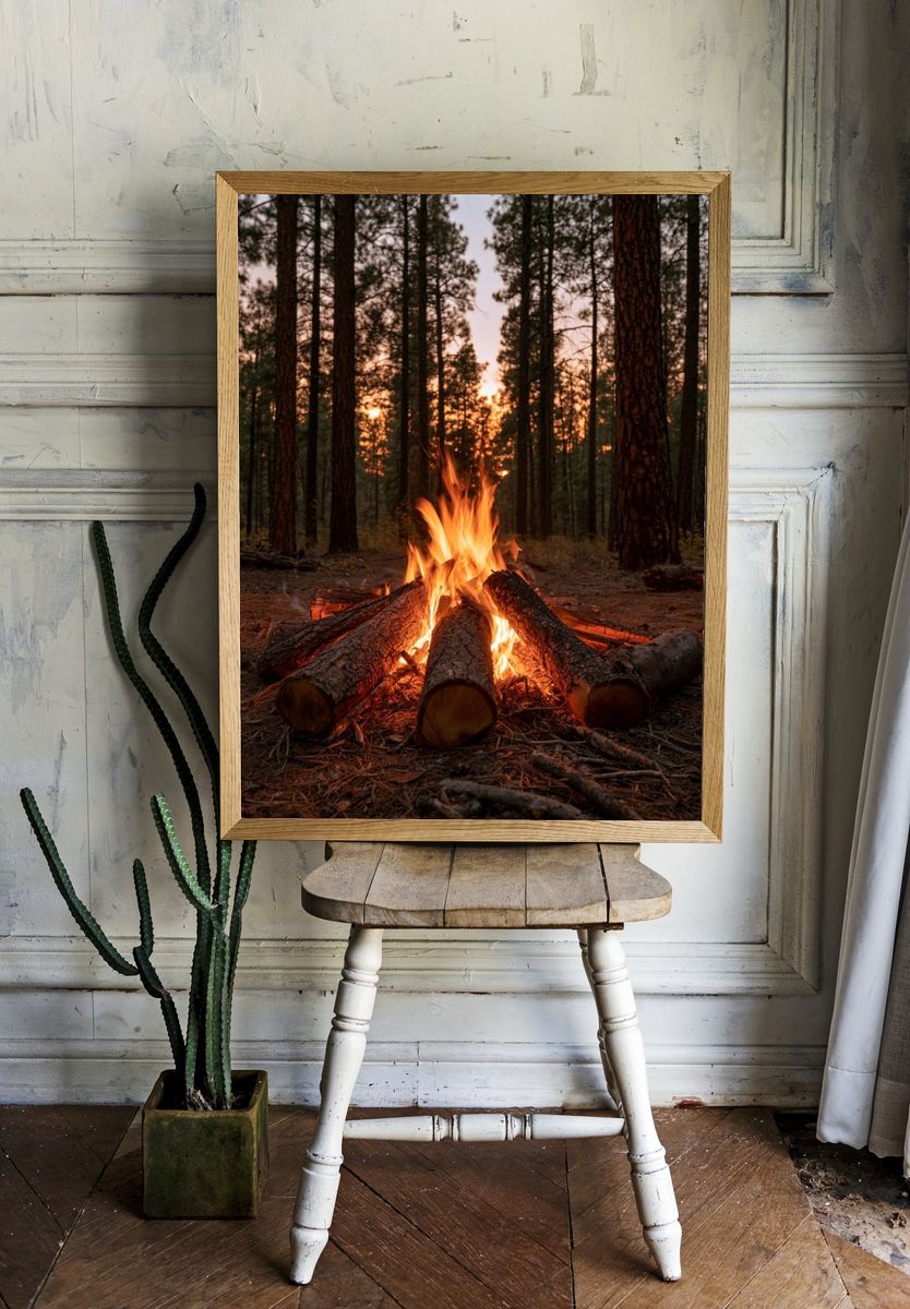 Forest Campfire Photography Poster. room preview