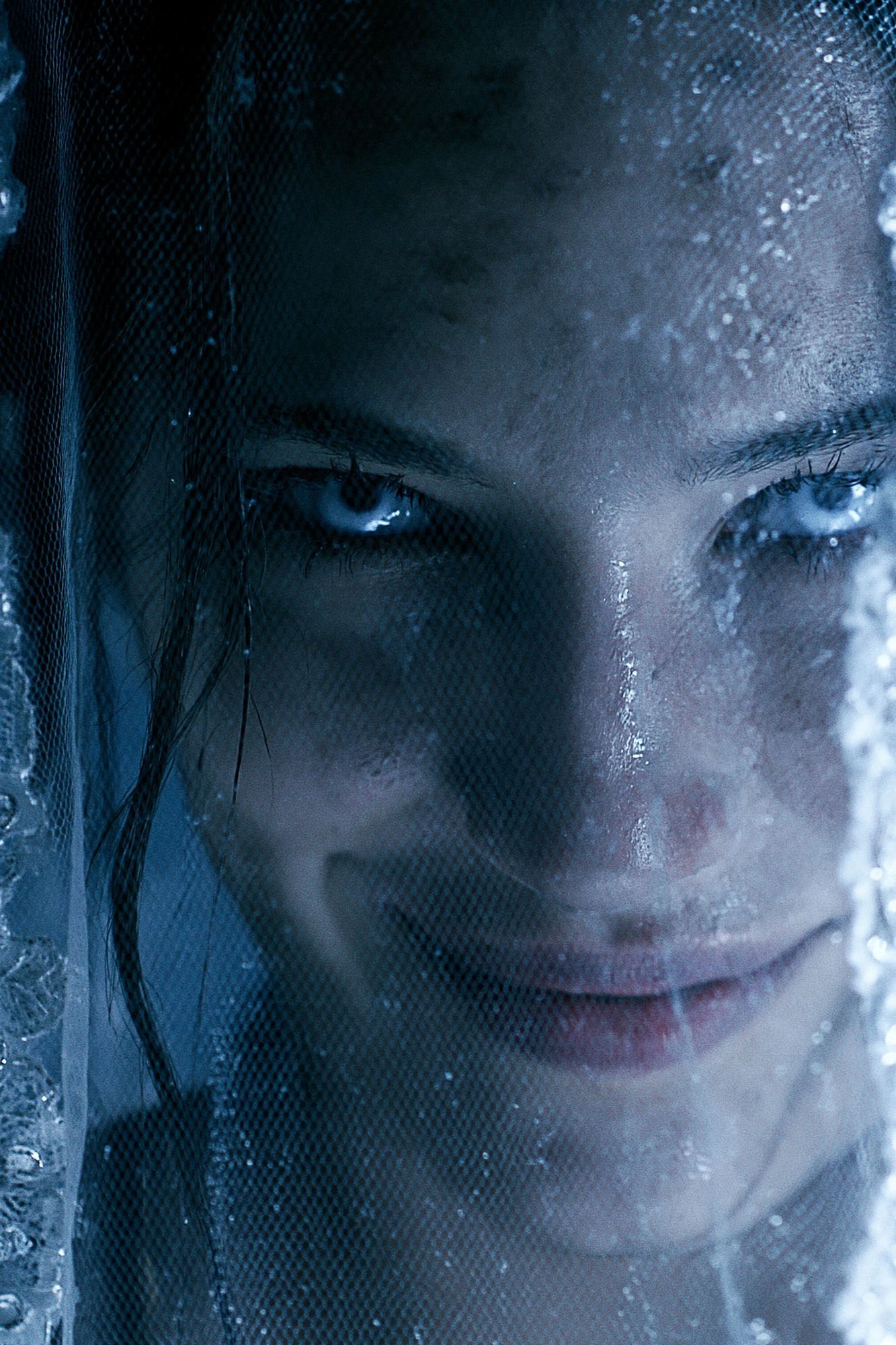 Icy Veil Portrait Print. poster — photography art