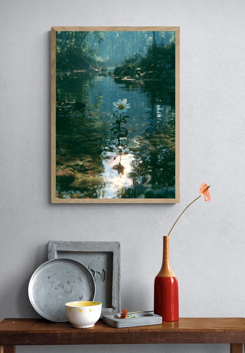 Forest Stream Blossom Photography Poster. — room view 3