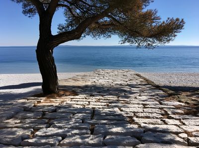 Seaside Stone Path Photography Poster. poster