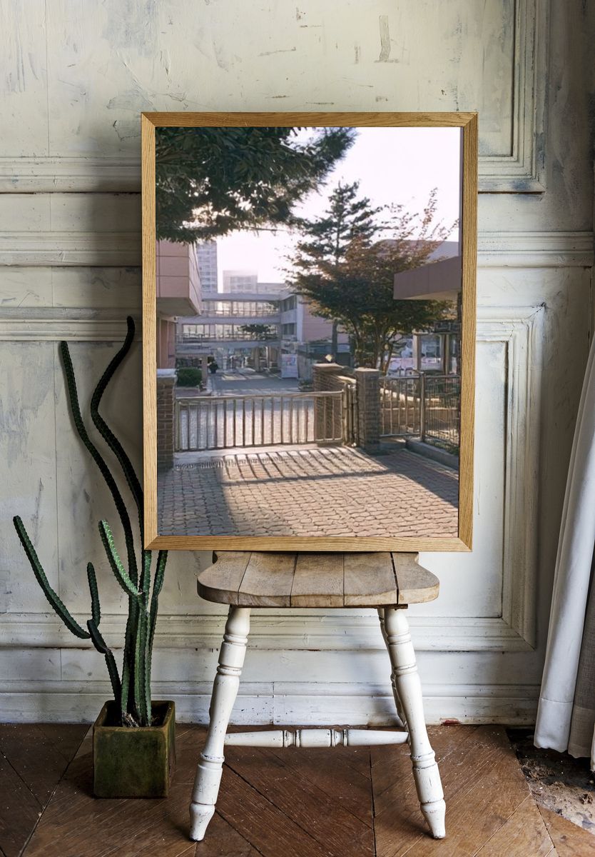 Sunlit Courtyard Gate Photography Poster. room preview