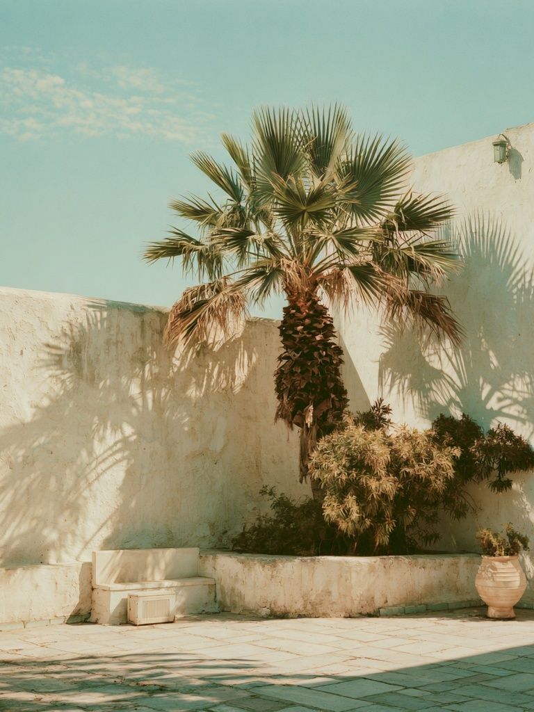 Palm Courtyard Photography Poster. poster detail