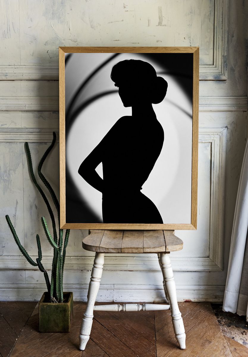 Elegant Woman Silhouette Photography Poster. room preview