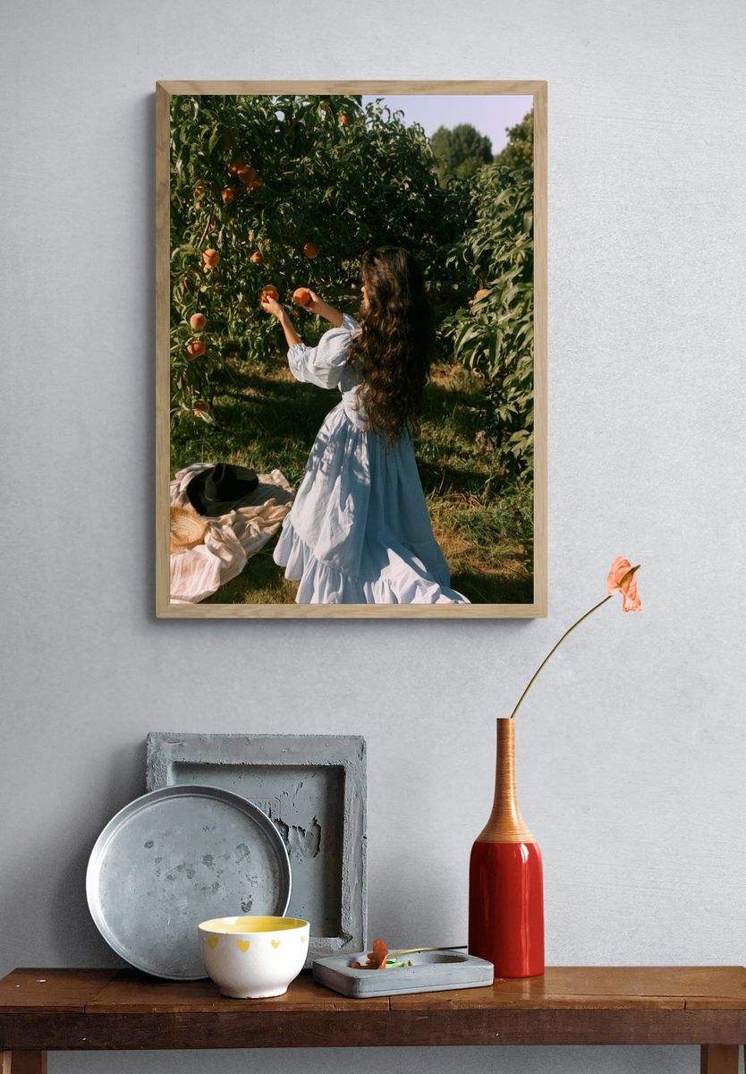 Peach Orchard Harvest Photography Poster. — room view 3