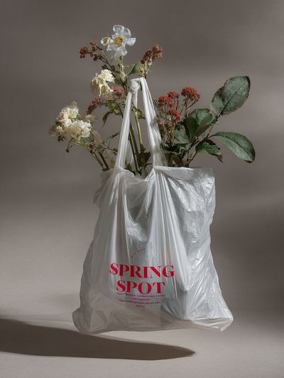 Spring Spot Still Life Poster.