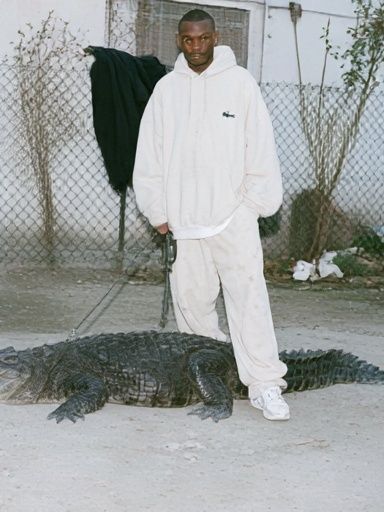 Man with Alligator Street Photography Poster. poster detail