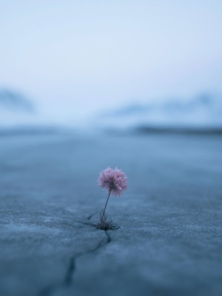 Lonely Bloom in Blue Landscape Poster. poster detail