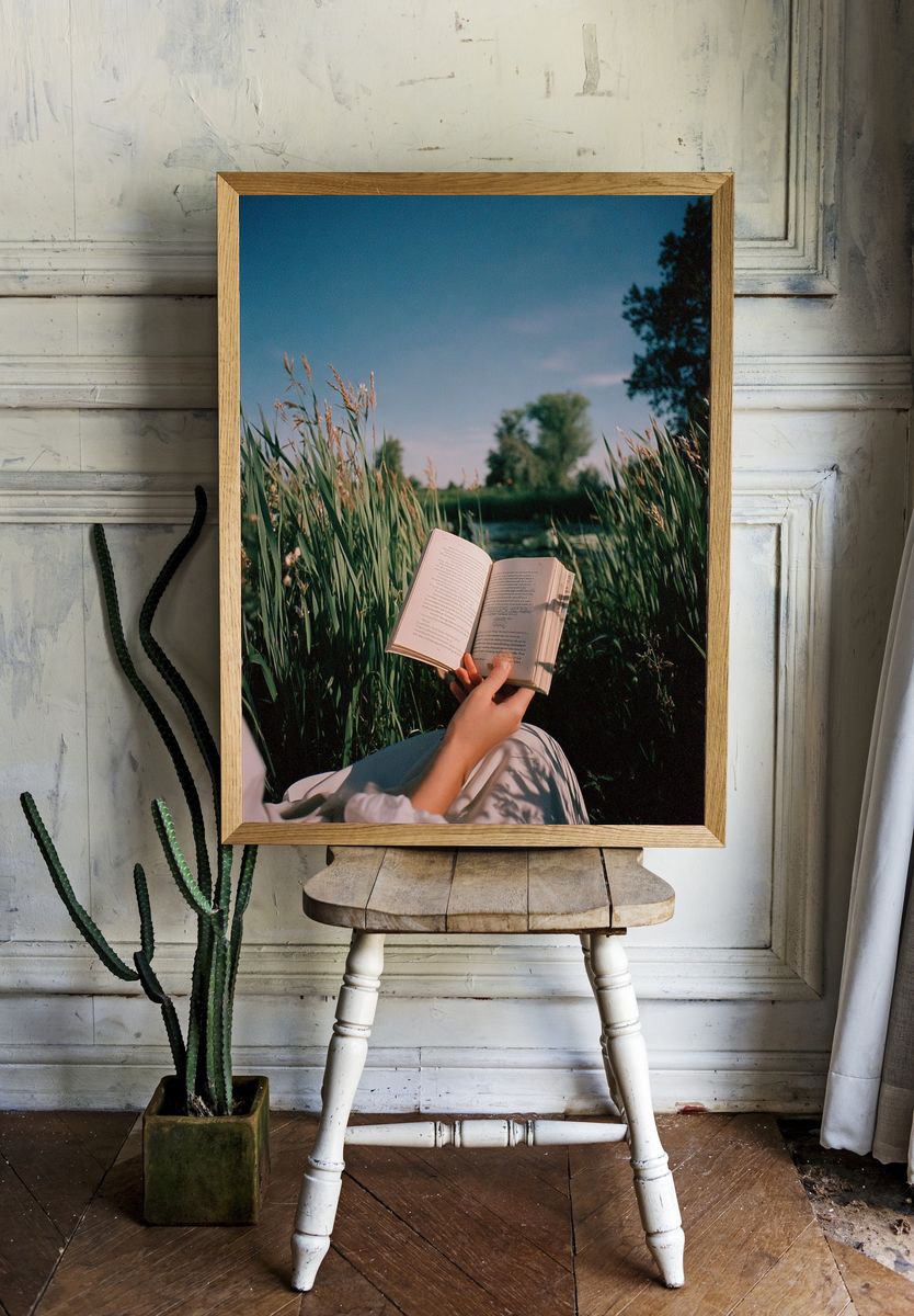 Reading in the Meadow Photography Poster. room preview