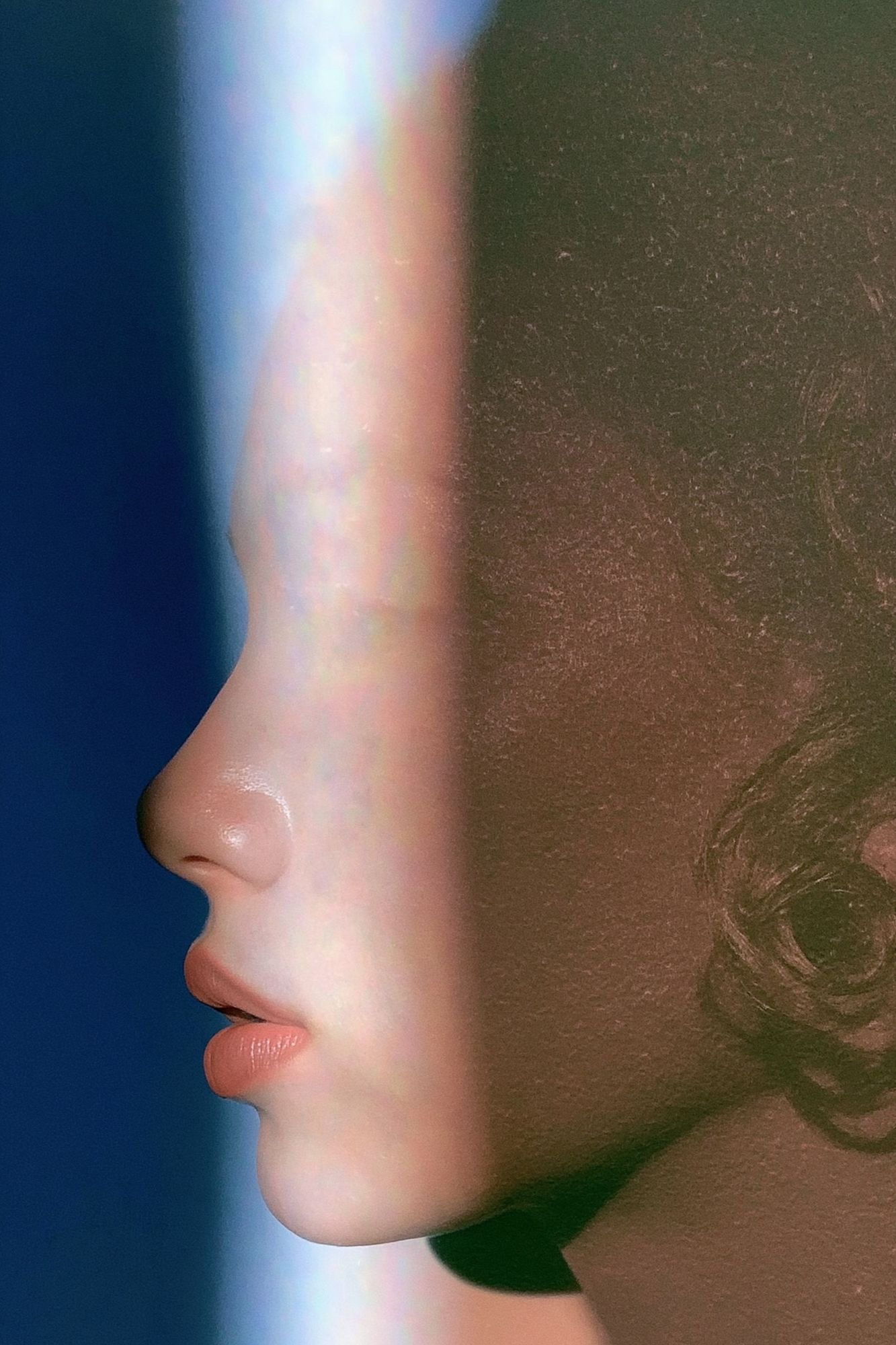 Prismatic Profile Portrait Print. poster — photography art