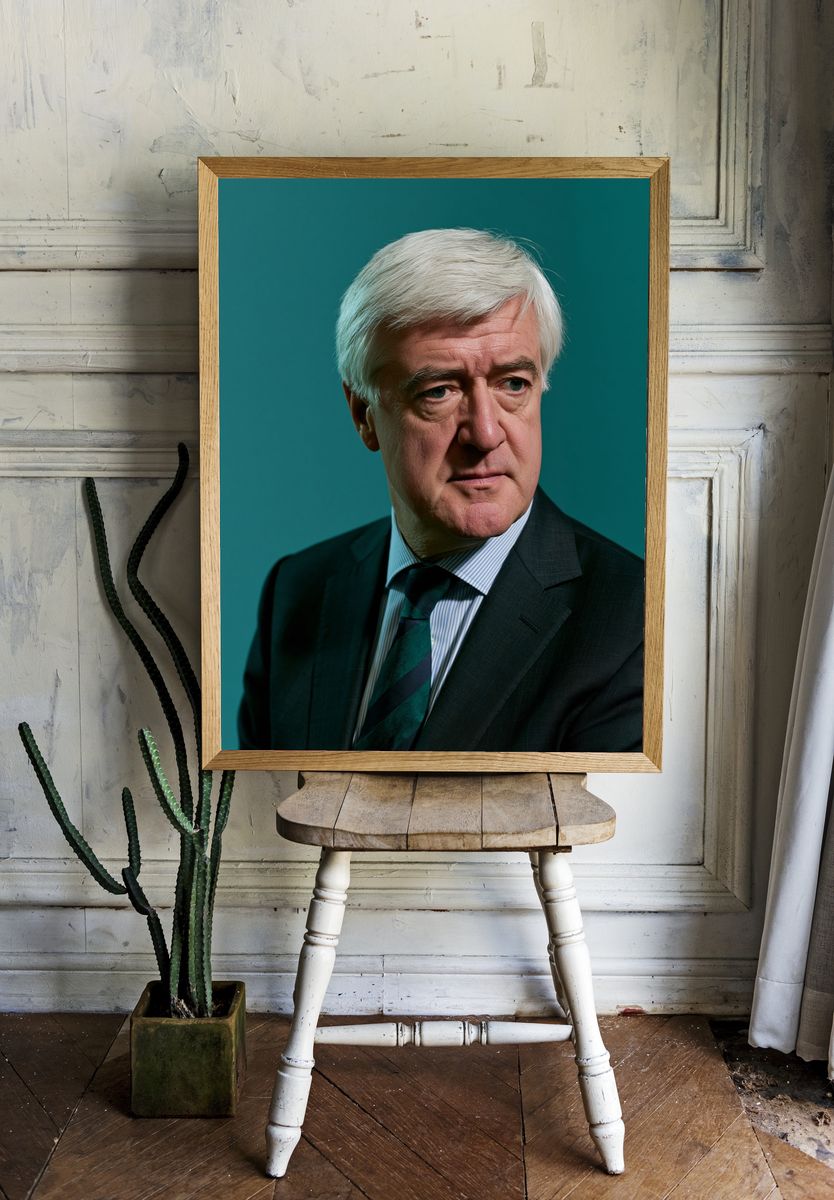Formal Portrait Photography Poster. room preview