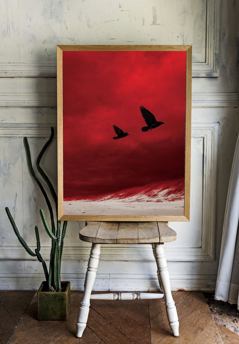 Crimson Sky Birds Photography Poster. — room view 1