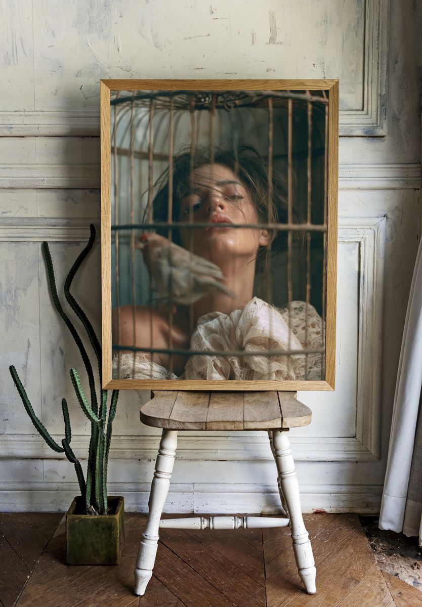 Birdcage Portrait Photography Poster. room preview
