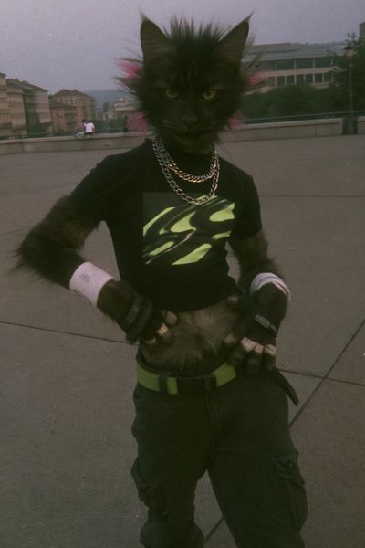 Cyber Cat Street Portrait Poster.