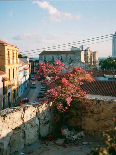 Old Town Bougainvillea Street Poster.