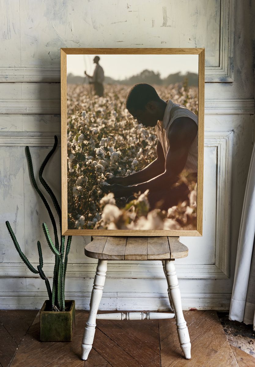 Cotton Field Harvest Photography Poster. — room view 1