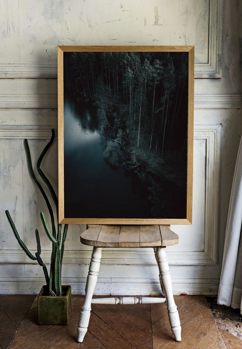 Aerial view dark forest Nuremberg. room preview