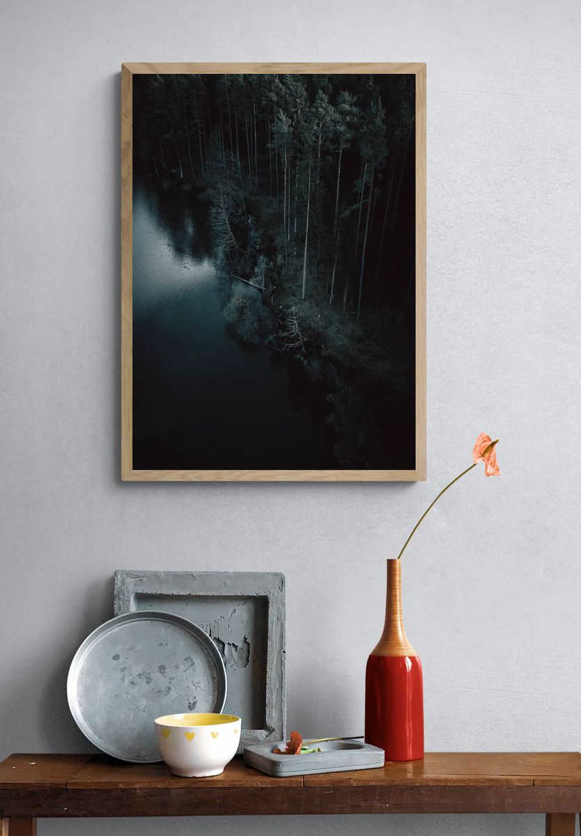 Aerial view dark forest Nuremberg. — room view 3