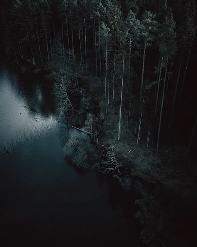 Aerial view dark forest Nuremberg.