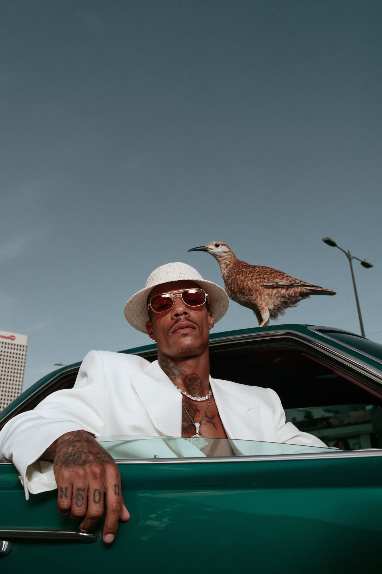 Stylish Portrait with Bird Photography Poster. poster detail