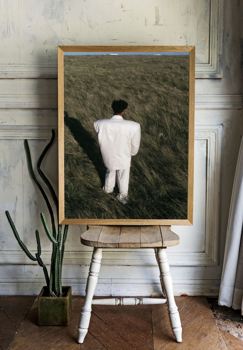 Solitary Figure in Grass Photography Poster. room preview