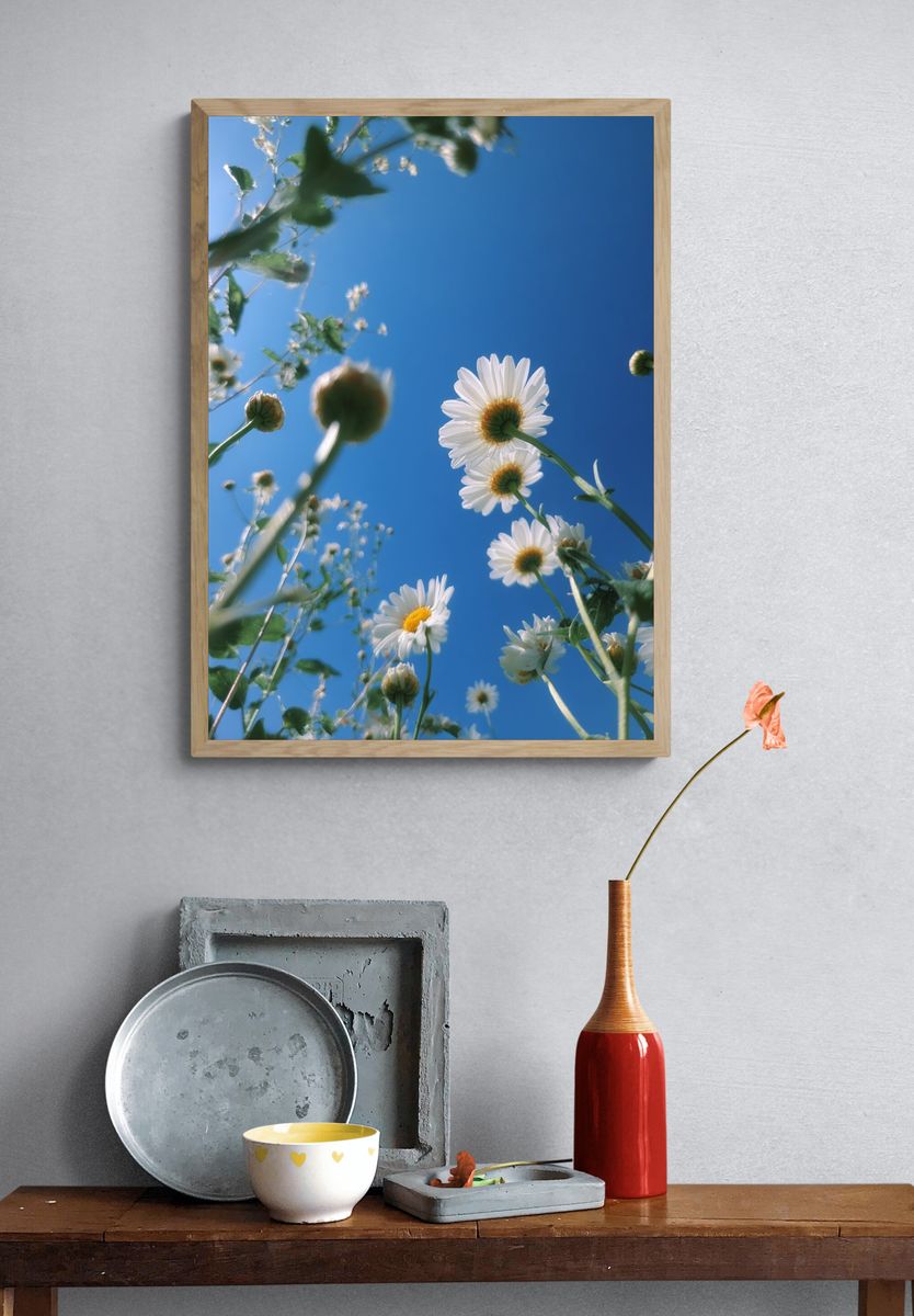 Daisy Sky Bloom Photography Poster. — room view 3