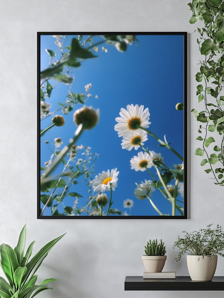 Daisy Sky Bloom Photography Poster. — room view 4