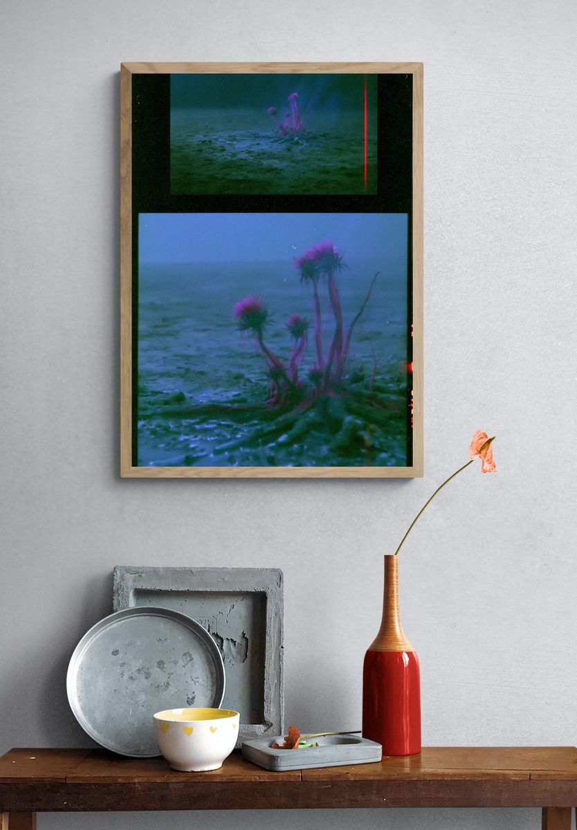 Dreamy Sea Thistle Photography Print. — room view 3