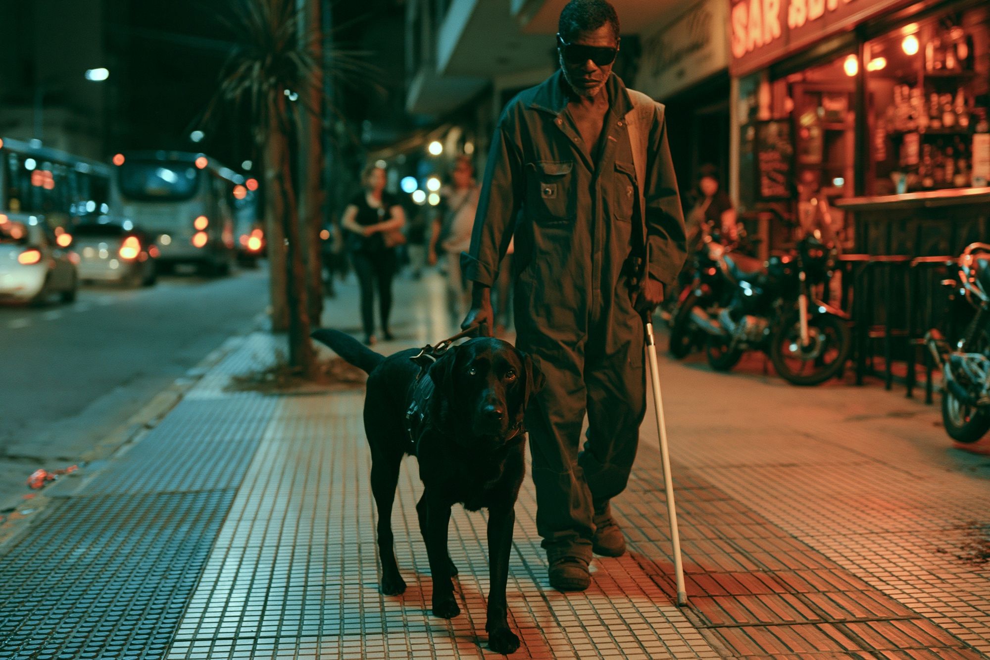 Night Street Walk with Guide Dog Poster. poster detail