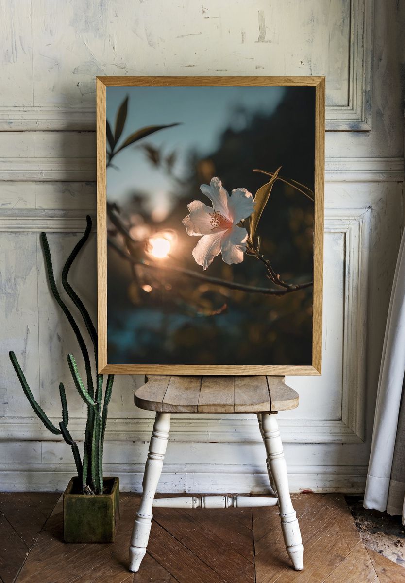 Sunlit Blossom Photography Poster. — room view 1