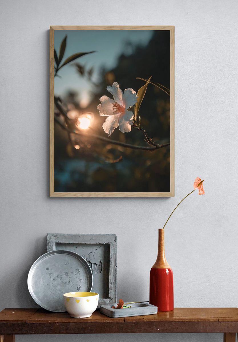 Sunlit Blossom Photography Poster. — room view 3