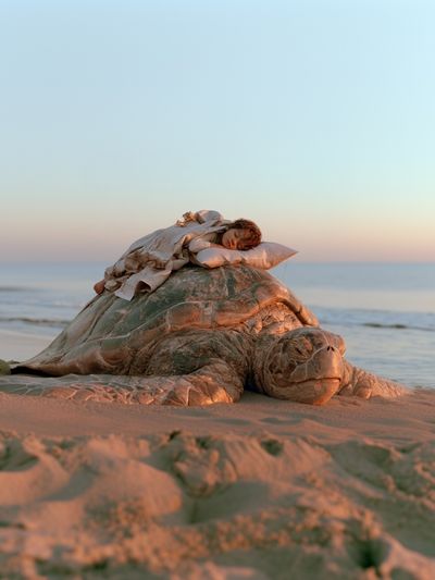 Sea Turtle Beach Dream Photography Print.