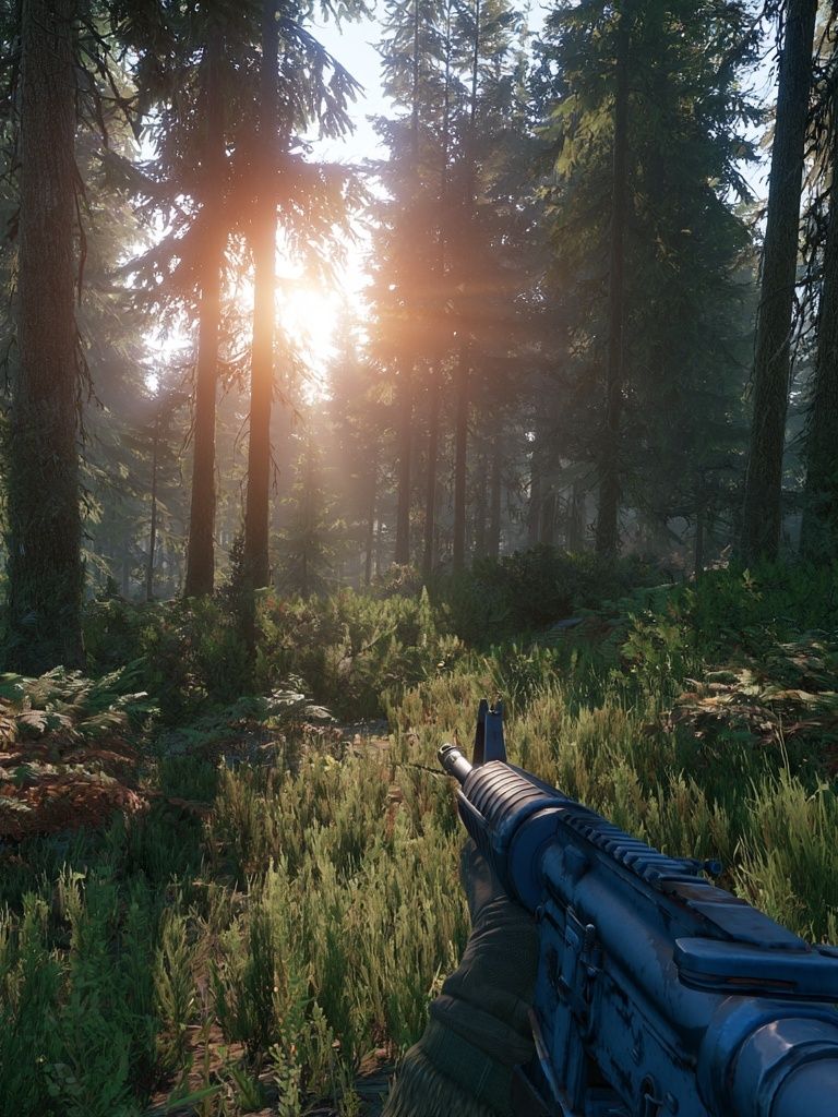 Sunlit Forest Rifle Scene Poster. poster detail